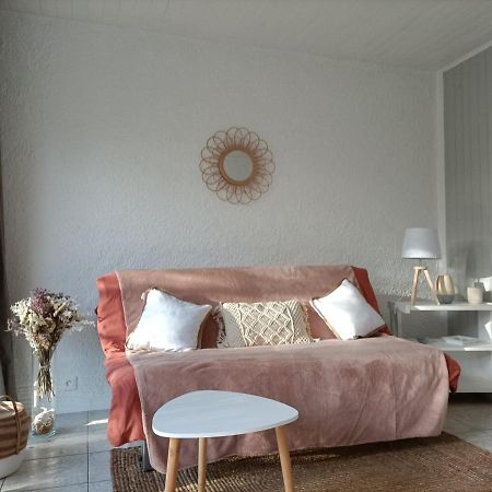 Charmant Appartement Bord De Mer Argelès-sur-Mer Dış mekan fotoğraf